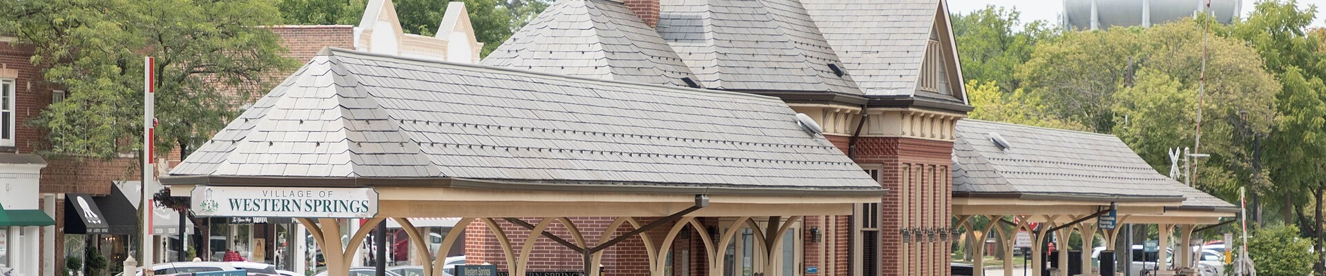 Local pros in Western Springs, IL