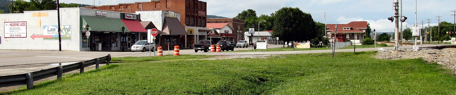 Local pros in Spring City, TN
