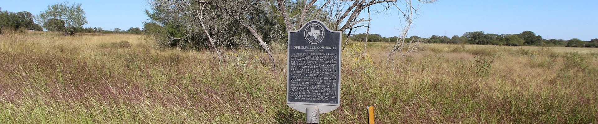 Local pros in Waelder, TX