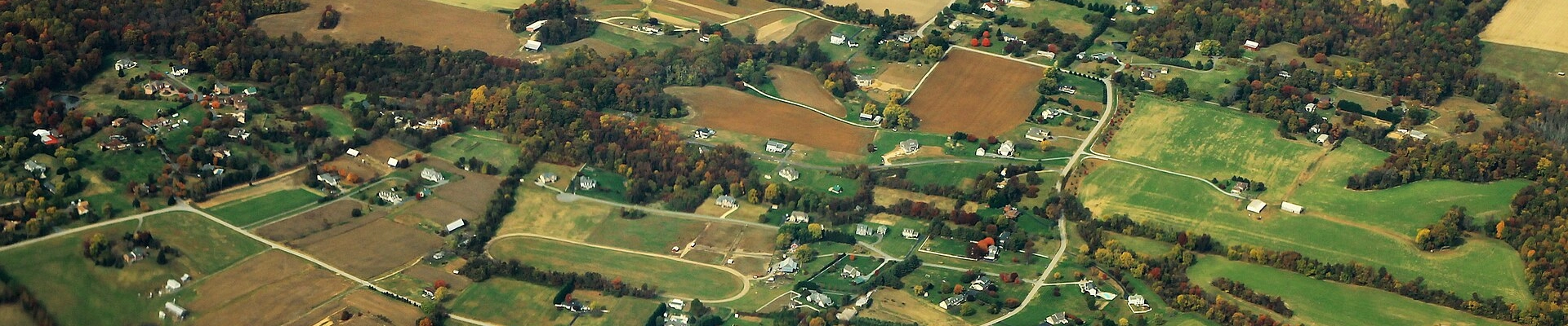 Electrical, Tree, and Landscaping in Lothian