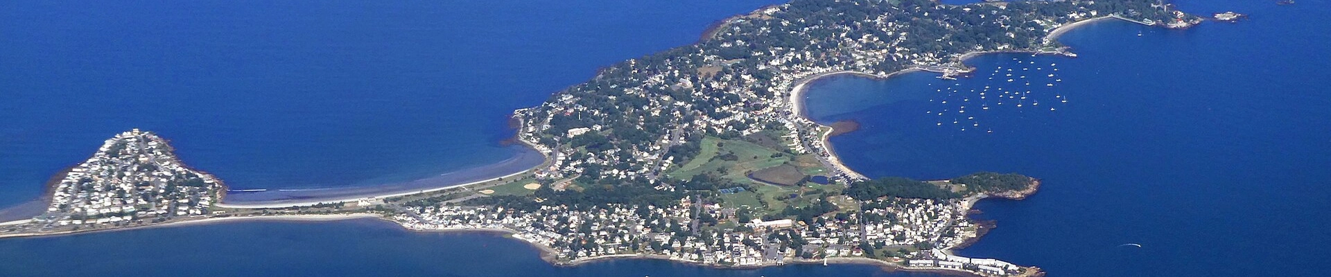 Electrical, House Cleaning, and Tree in Nahant
