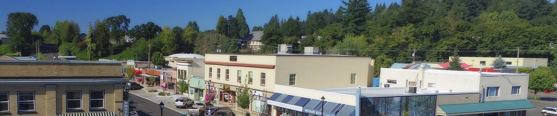 Tree in Estacada, OR