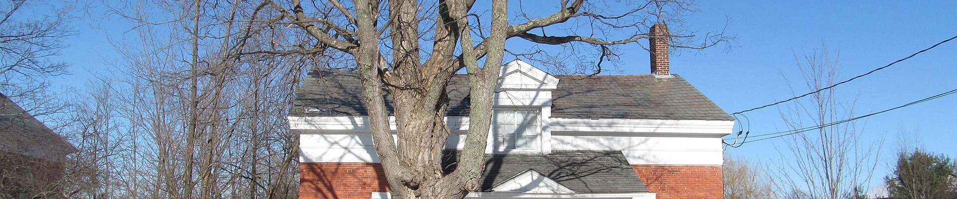 Electrical providers in Williston