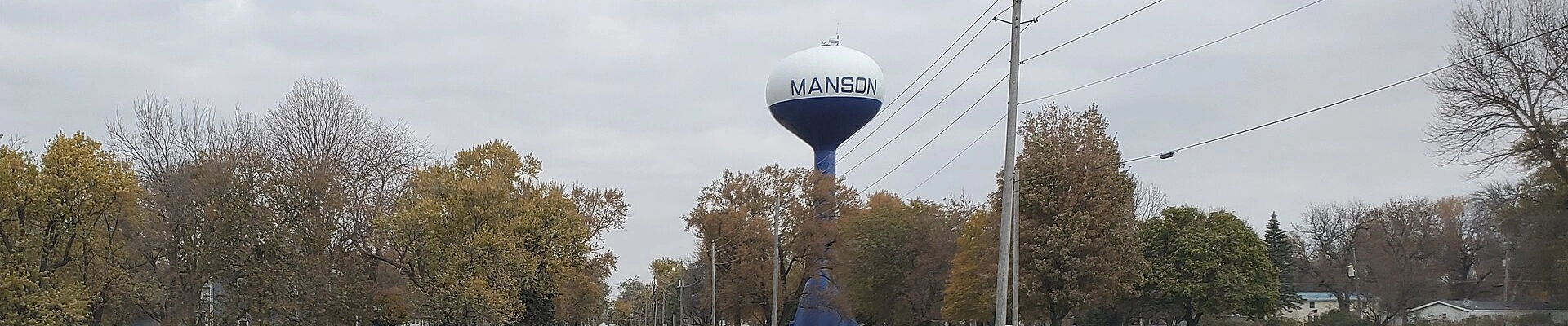 Local pros in Manson, IA