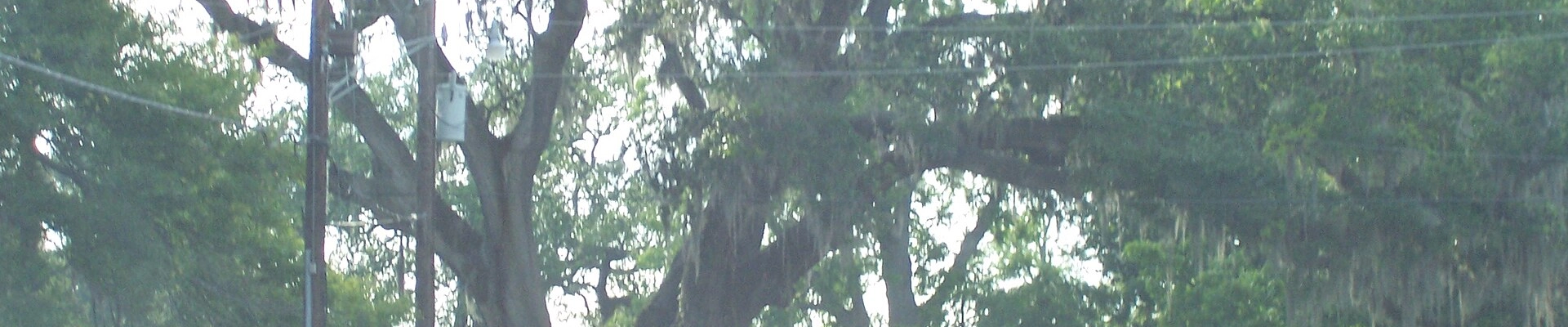 Local pros in Brusly, LA
