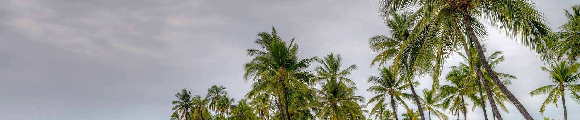 Local pros in Hōnaunau, HI