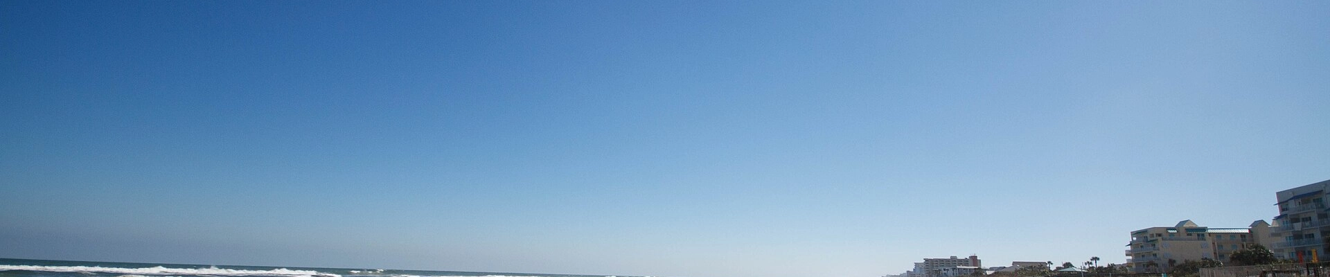 Local pros in New Smyrna Beach, FL