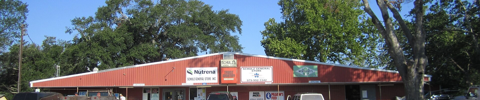 Local pros in New Ulm, TX