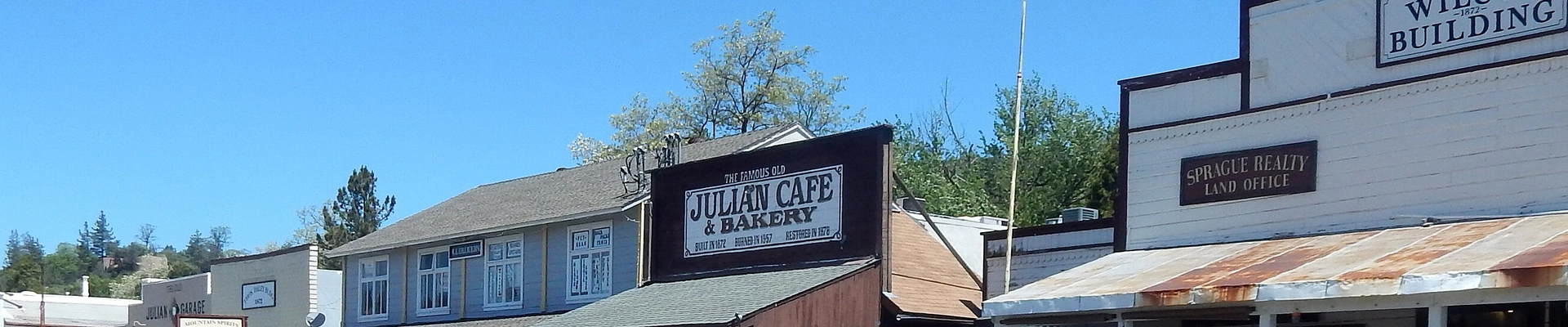 Tree in Julian