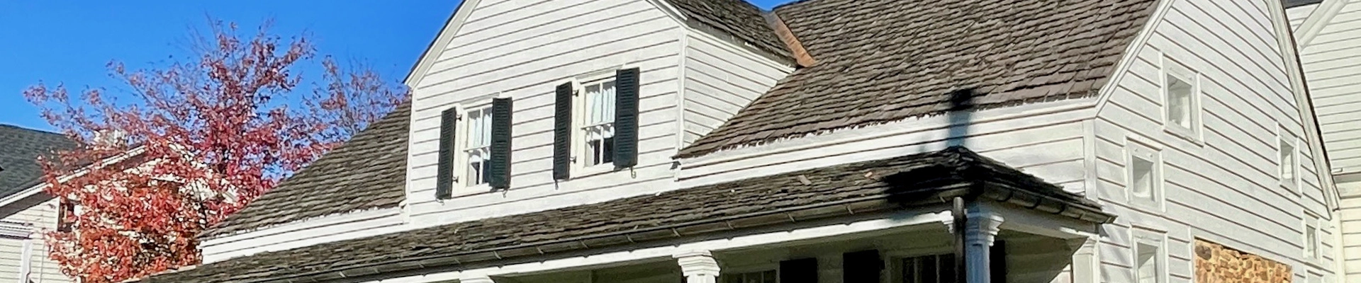 Tree providers in Bernardsville