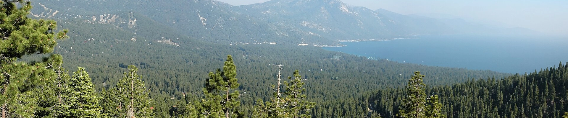 Electrical, House Cleaning, and Tree in Incline Village