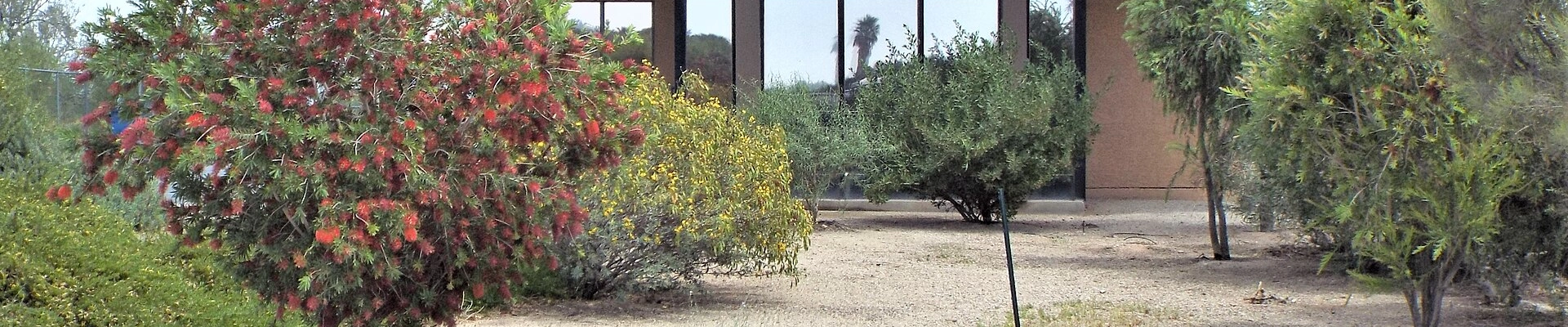 Landscaping and House Cleaning in Tonopah