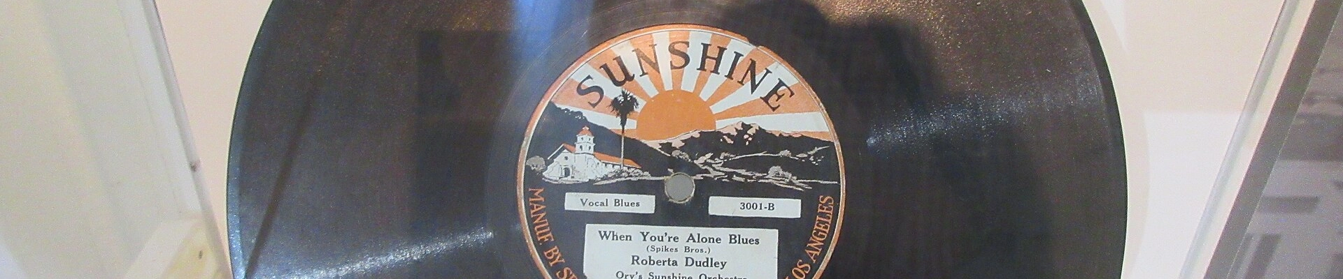 Plumbing providers in Sunshine
