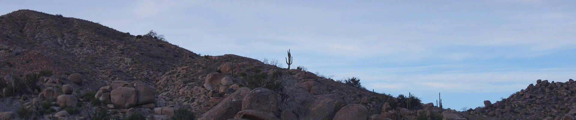Local pros in New River, AZ