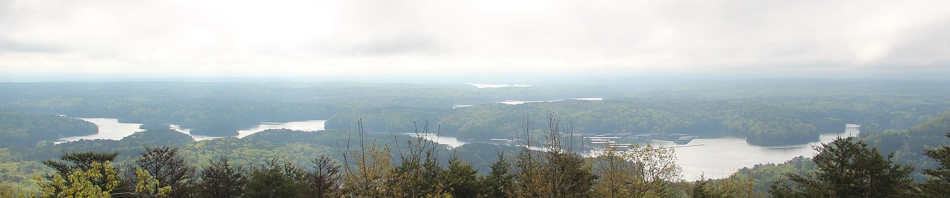 Local pros in Pine Mountain, GA