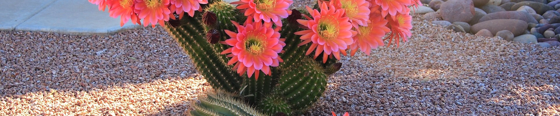 HVAC in Sun City West, AZ