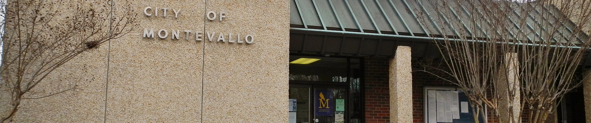 Local pros in Montevallo, AL