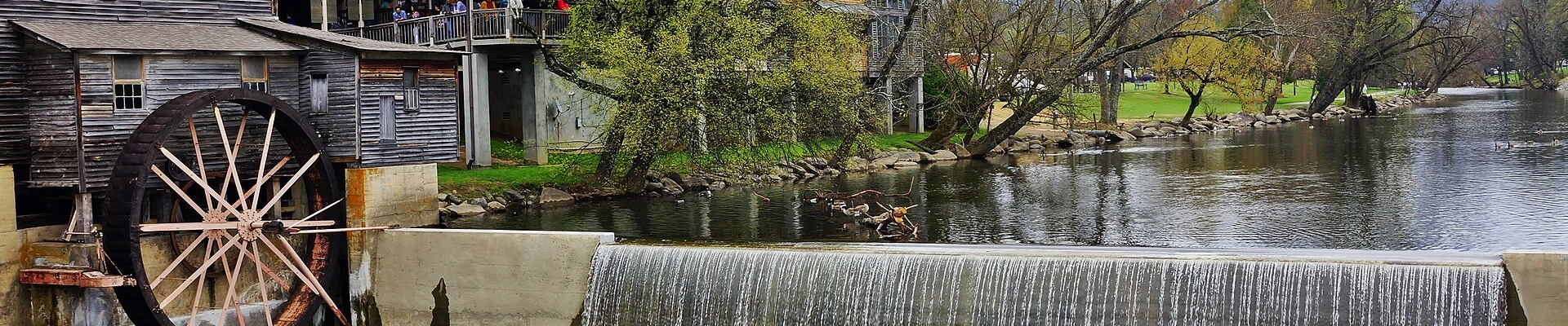 Electrical, Landscaping, and Tree in Pigeon Forge