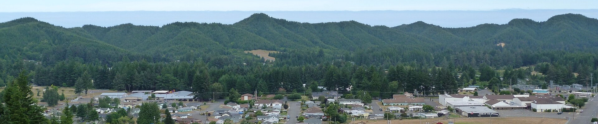 Electrical, Landscaping, and Tree in Reedsport
