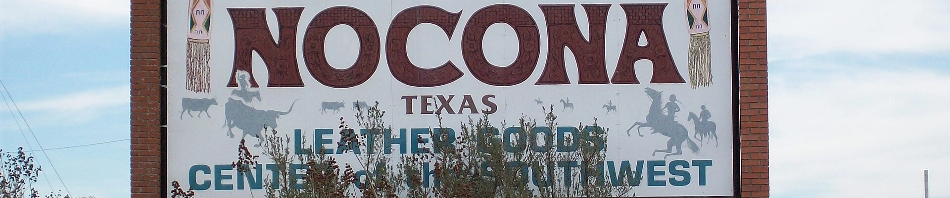 Local pros in Nocona, TX