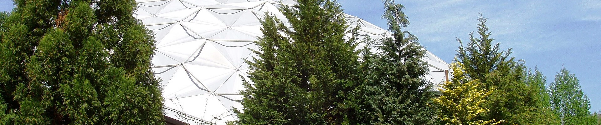 Landscaping providers in Rocky Hill