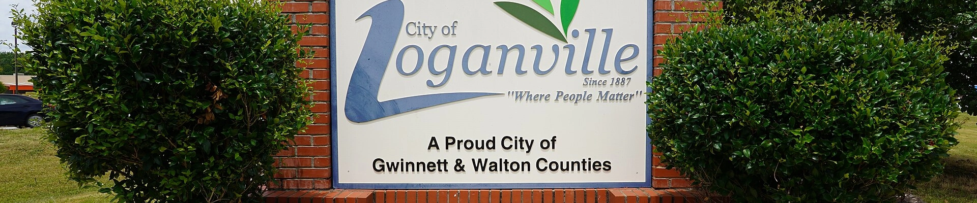 Tree providers in Loganville