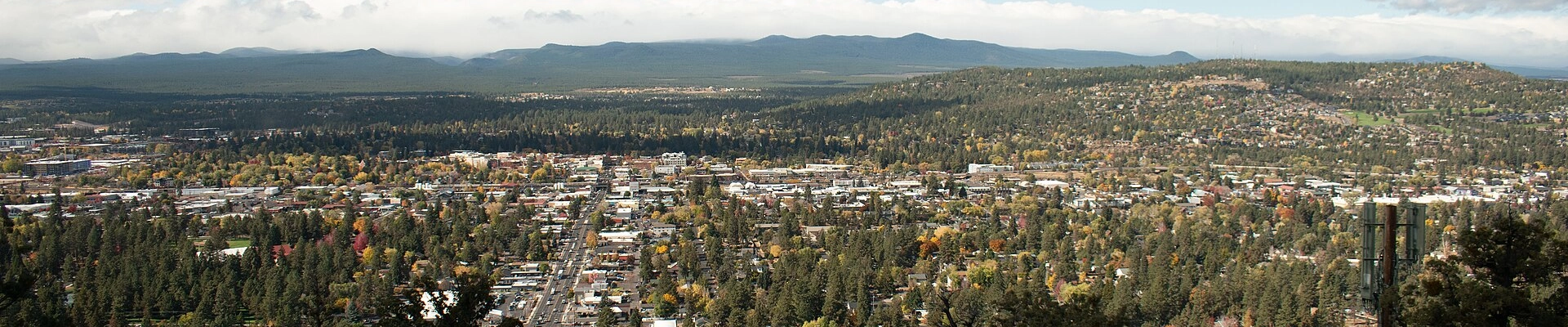 Tree in Bend, OR
