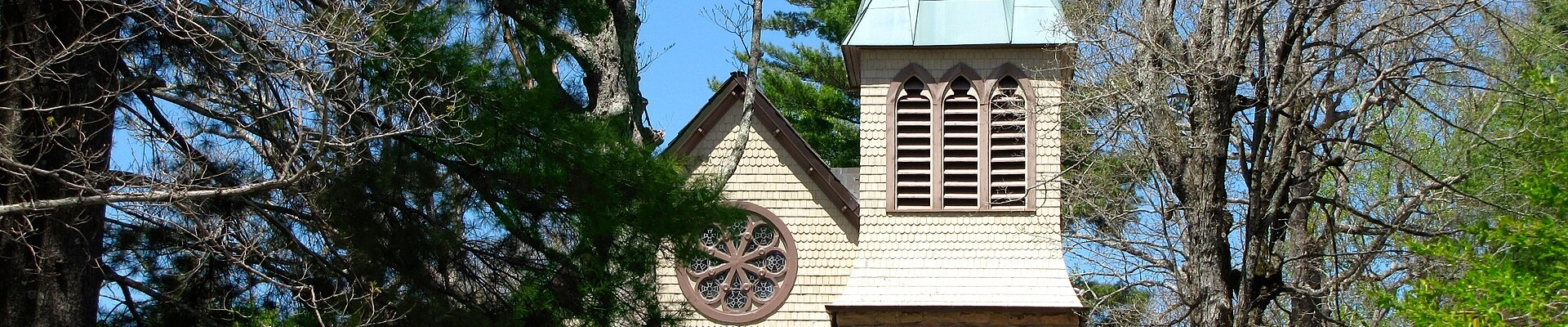 Tree providers in Sewanee