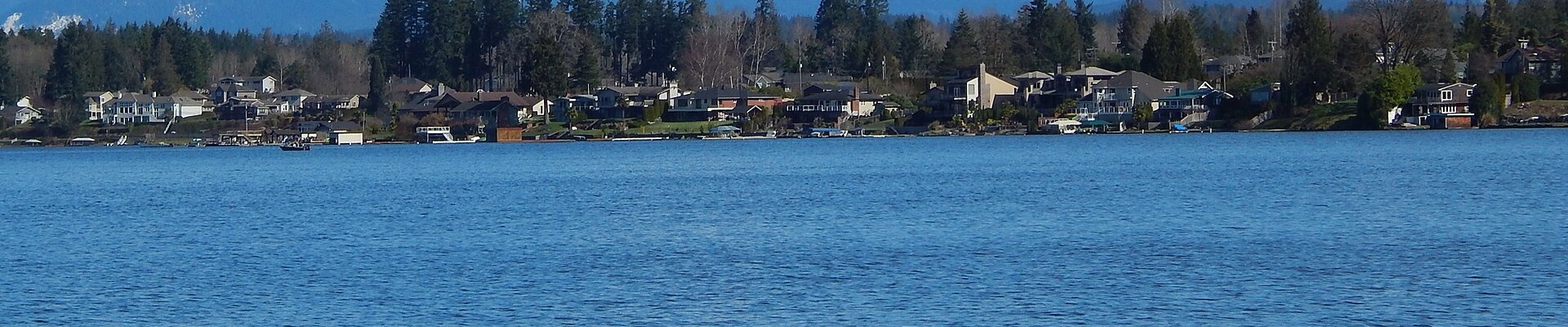 Landscaping and Tree in Lake Stevens