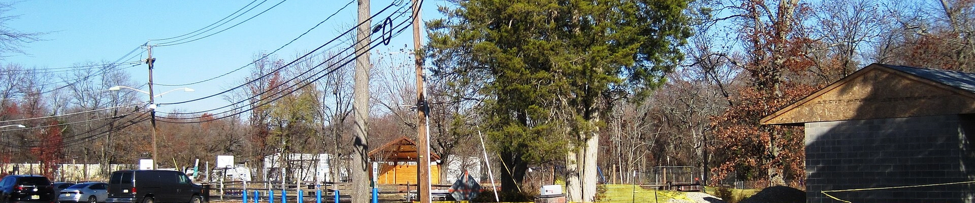 Tree, Landscaping, and Plumbing in Somerdale