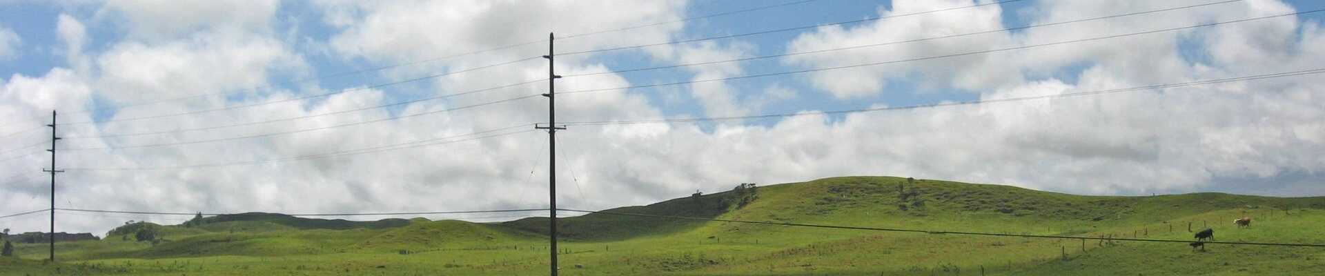 Landscaping in Waimea