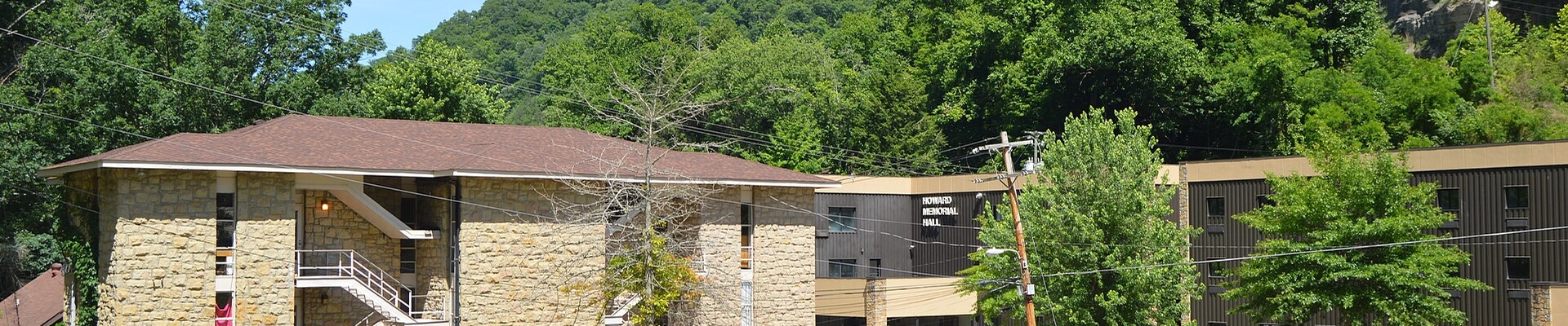 Landscaping providers in Lloyd