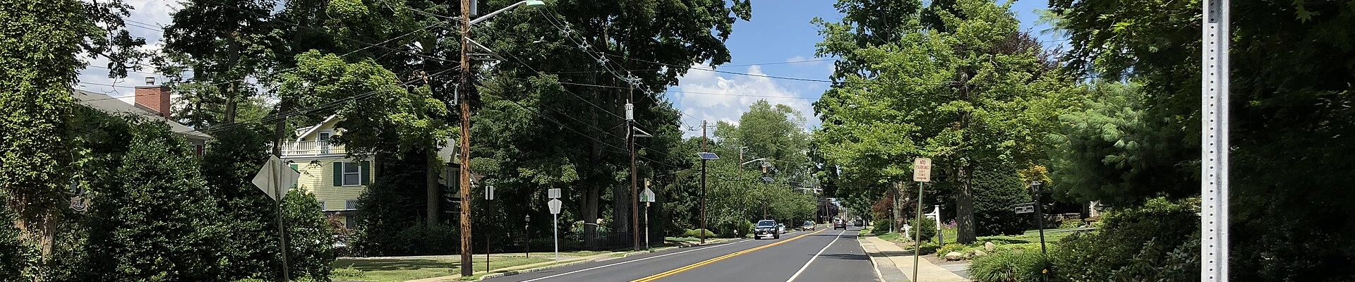 Local pros in Essex Fells, NJ