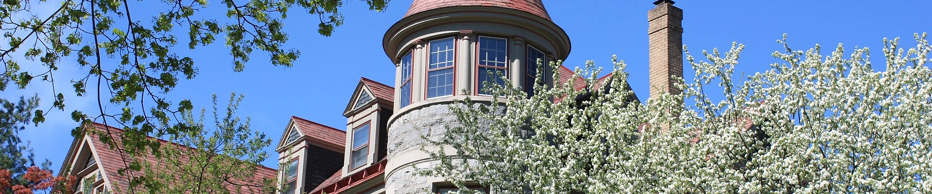 House Cleaning providers in Elkins Park