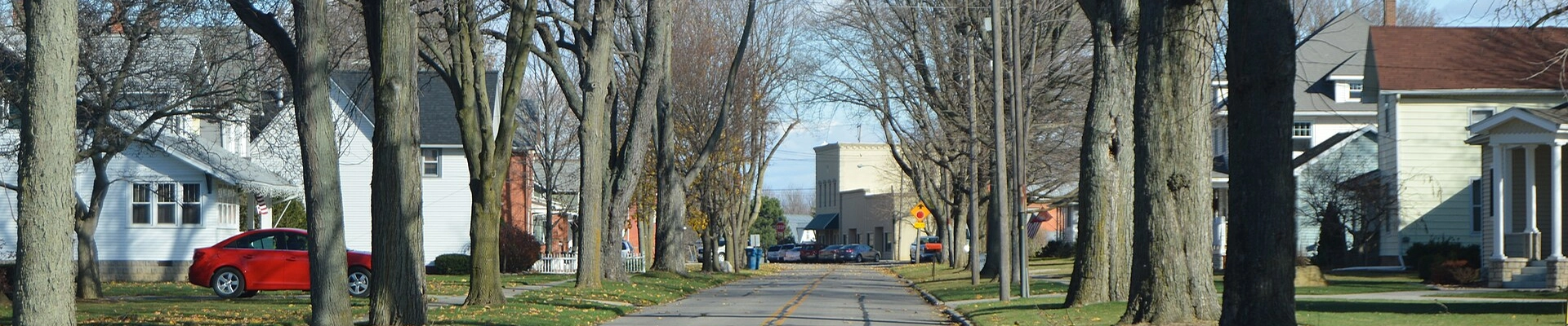 Local pros in Ridgeville Corners, OH