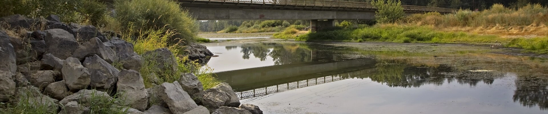 Local pros in Zillah, WA