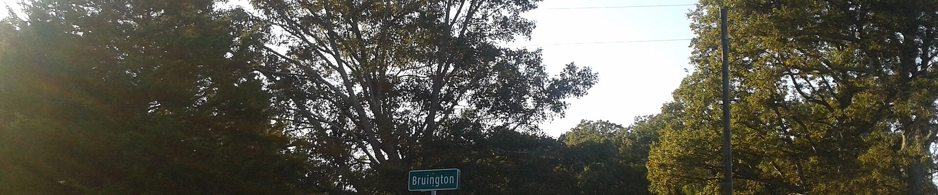 Landscaping in Bruington