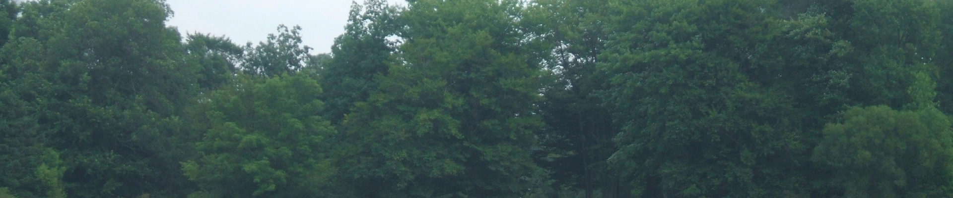 Local pros in Montville Township, OH