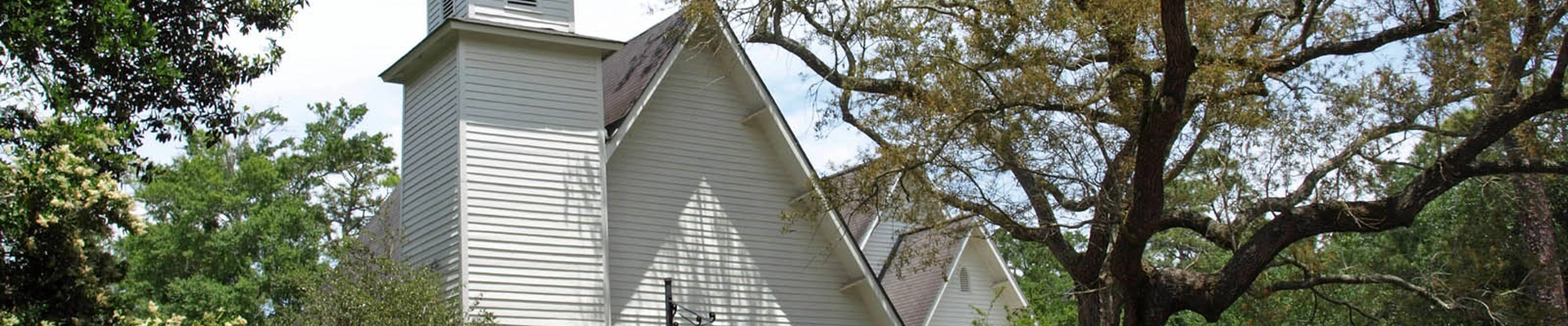 Local pros in Magnolia Springs, AL