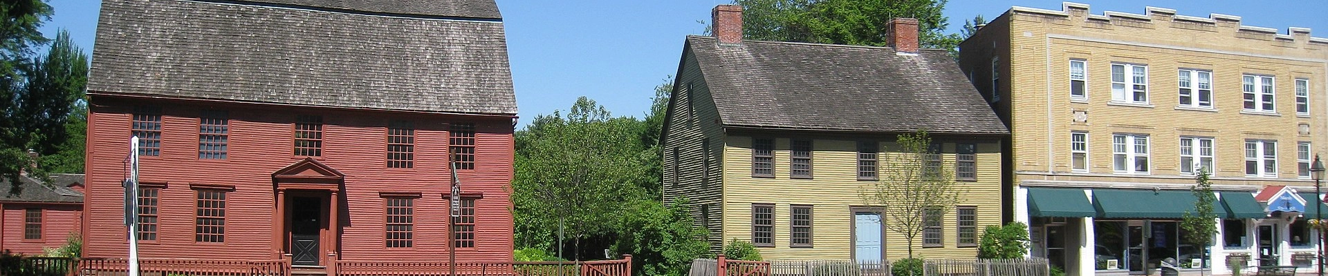 Tree in Wethersfield, CT