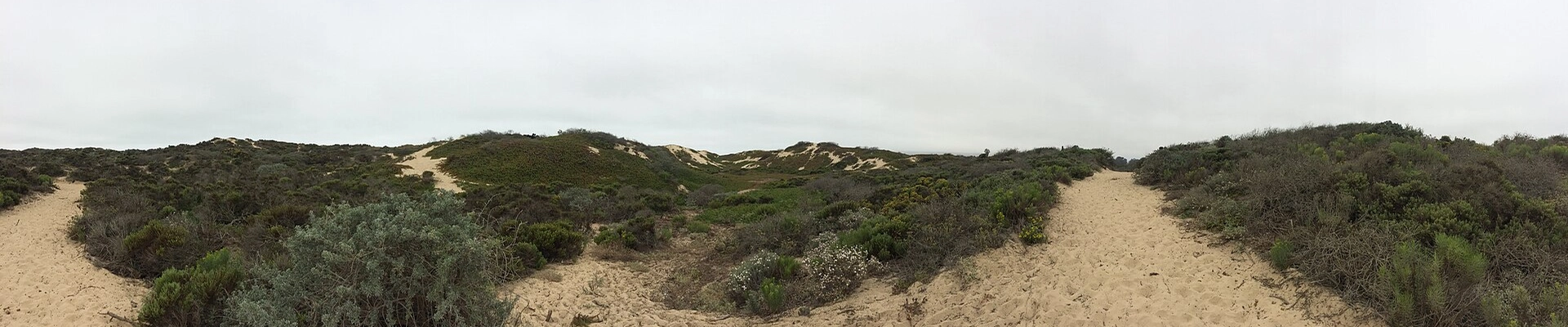 House Cleaning in Grover Beach