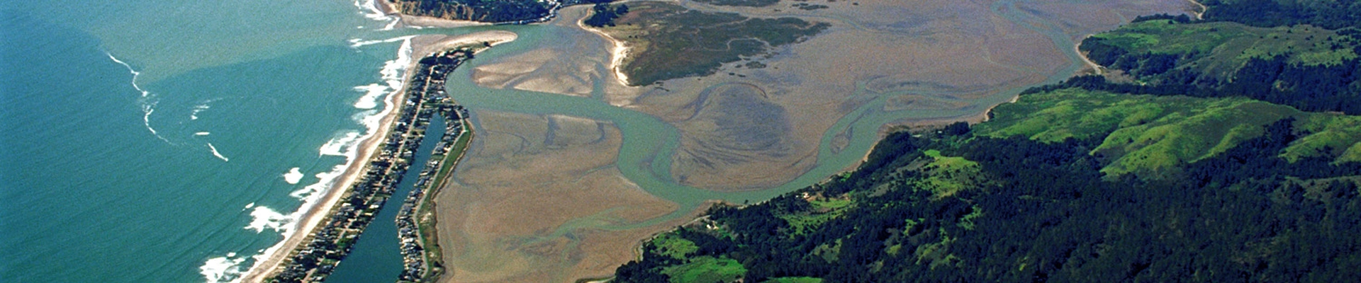 Local pros in Bolinas, CA