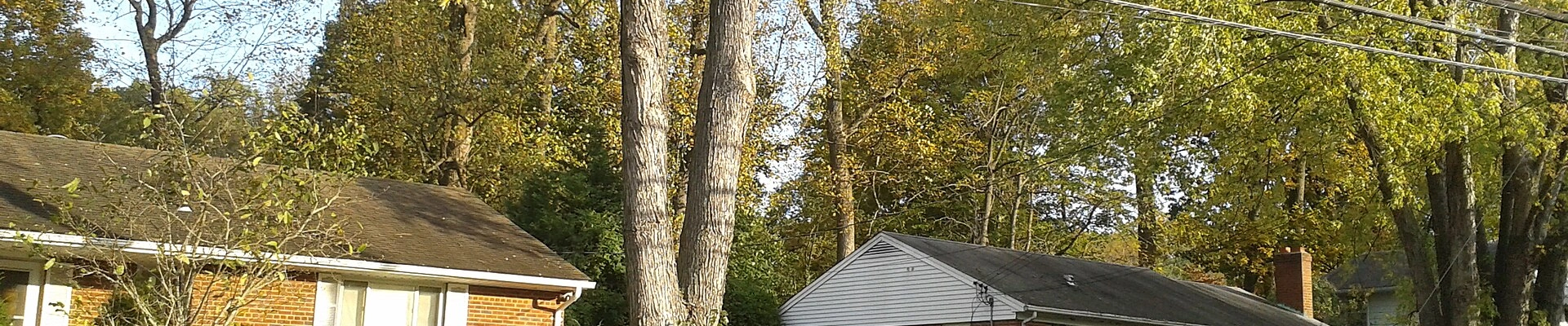 House Cleaning in North Springfield, VA