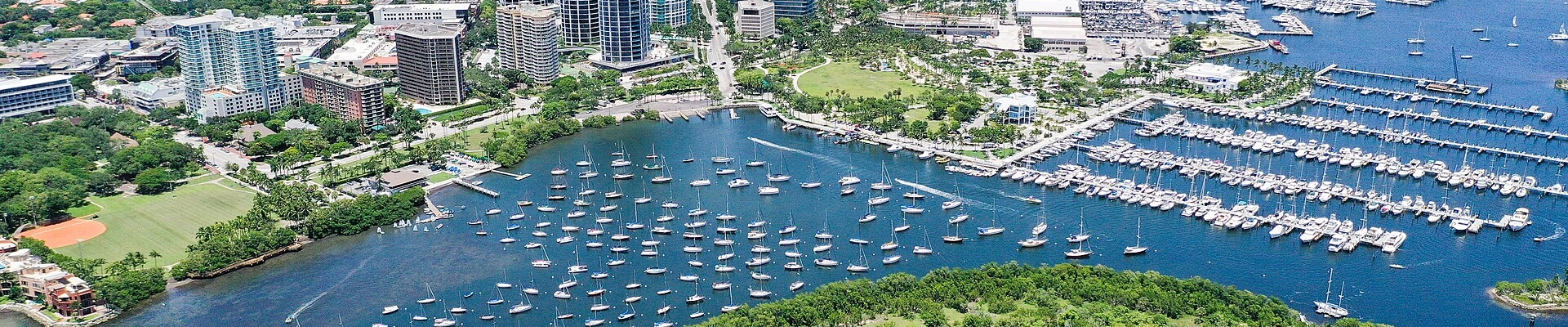 Local pros in Coconut Grove, FL
