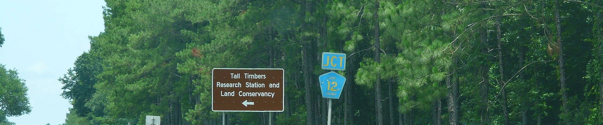 House Cleaning in Tall Timbers, MD