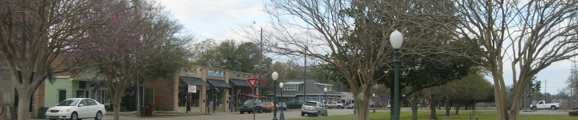 HVAC and Tree in Picayune