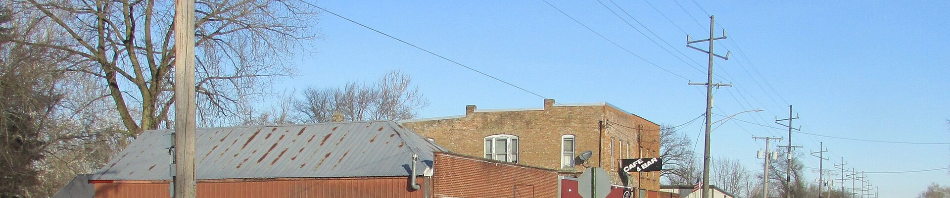 Tree in Schneider
