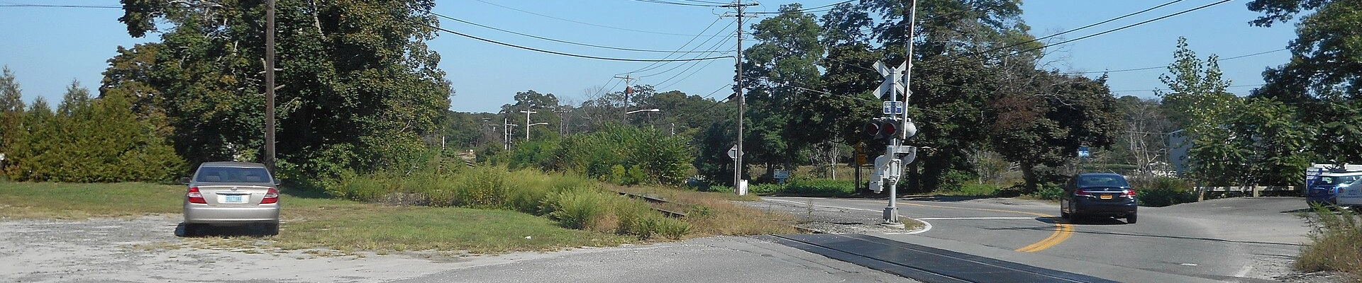 Tree in Aquebogue