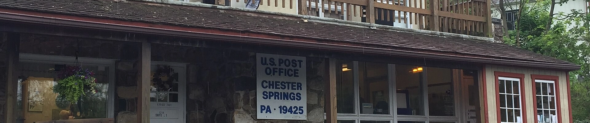 Tree in Chester Springs, PA