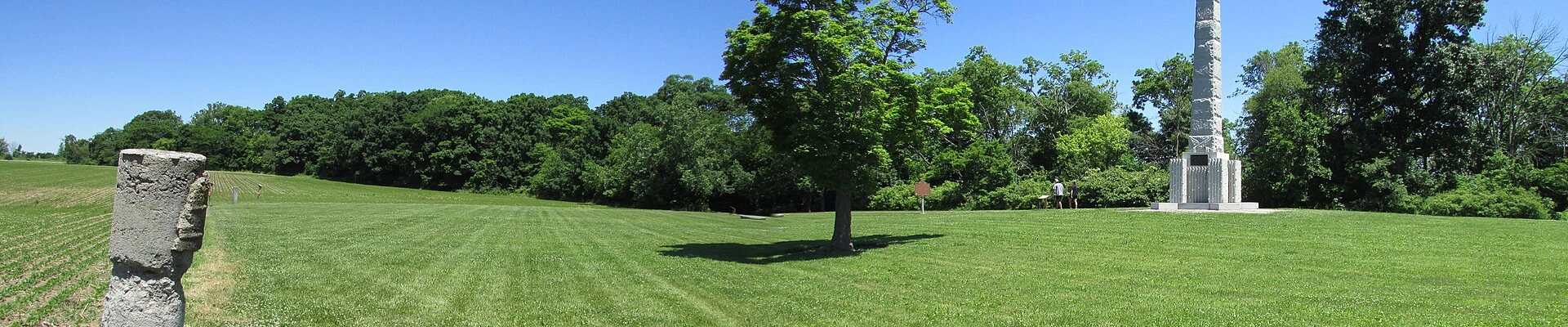 Tree in Amanda, OH